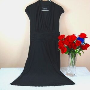 Black Label Essentials By Evan Picone. Black Maxi Empire Waist V Neck Size 10